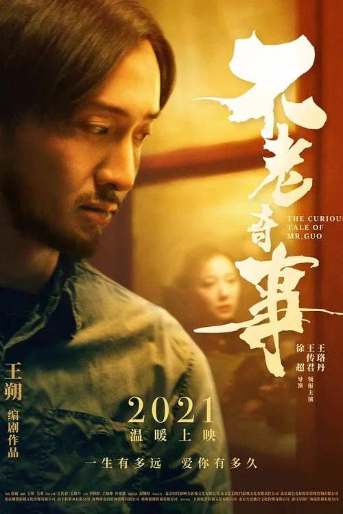 不老奇事海报