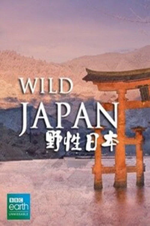 狂野日本海报