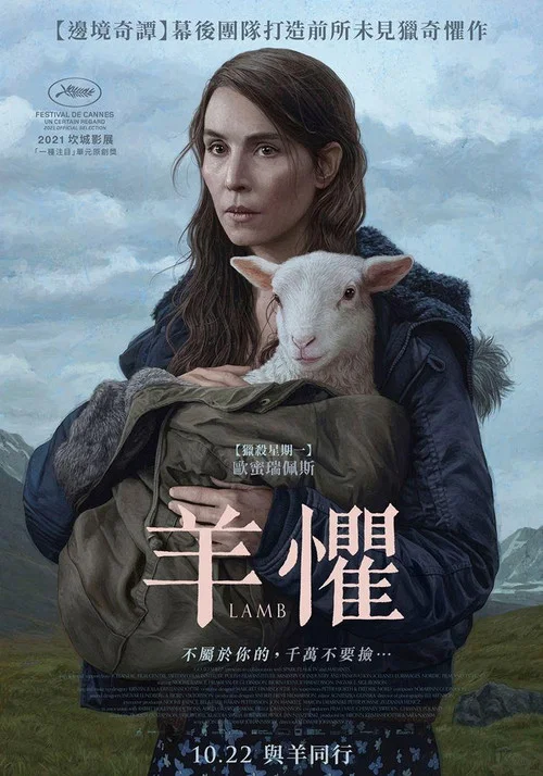 羊崽海报