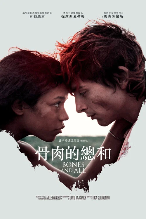 骨及所有海报