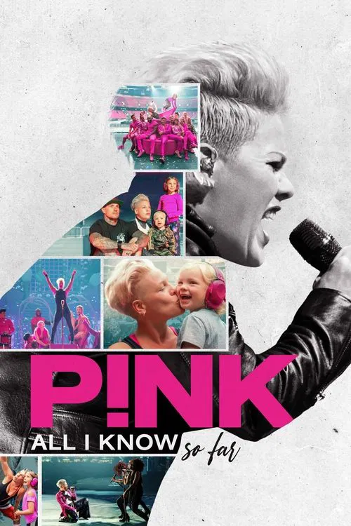 P!NK：我所知道的一切海报