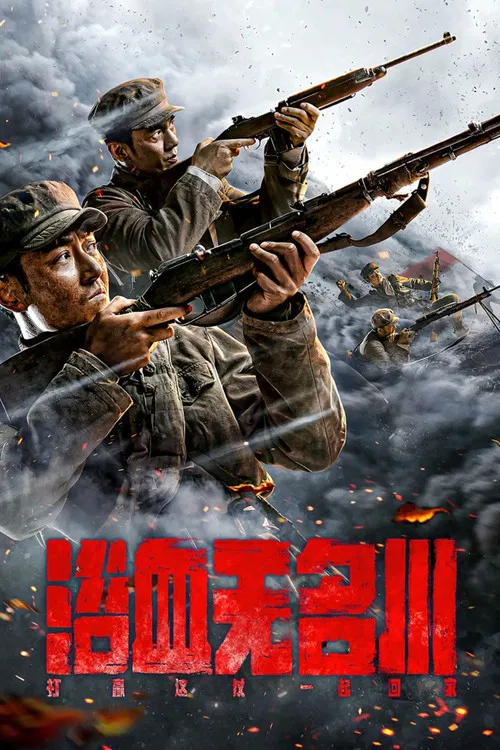 浴血无名川海报