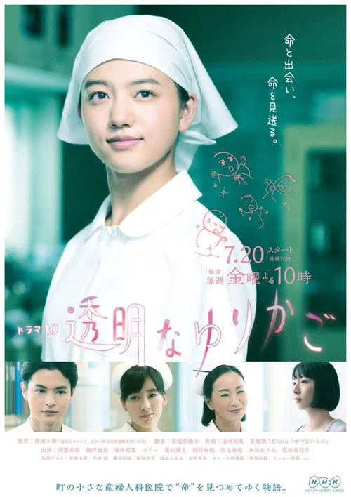 透明的摇篮海报