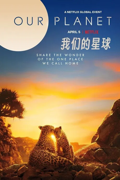 我们的星球海报