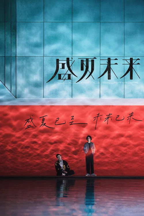盛夏未来海报