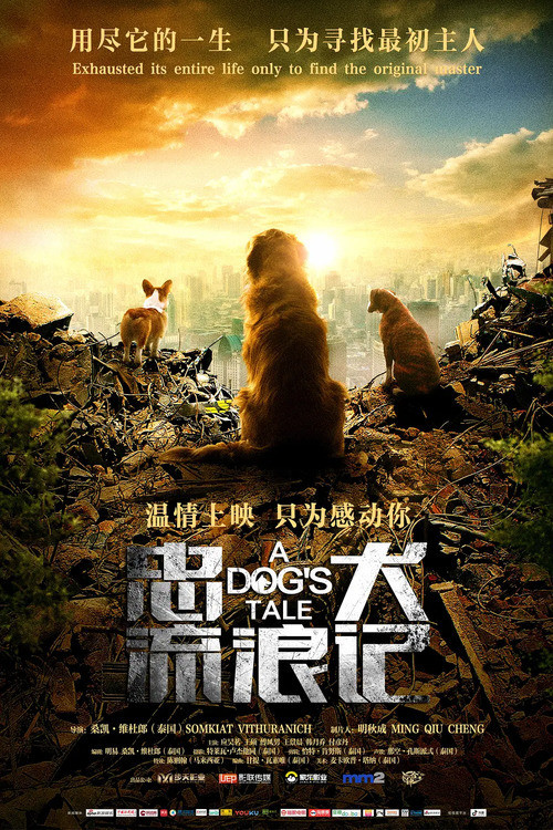忠犬流浪记海报