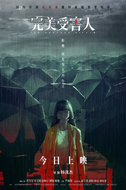 完美受害人海报