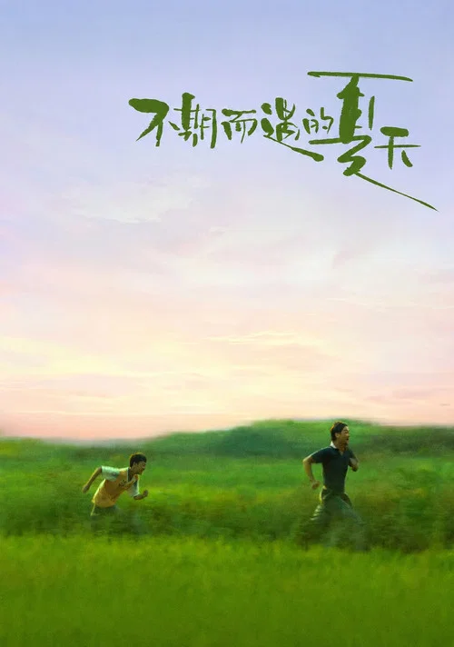 不期而遇的夏天海报