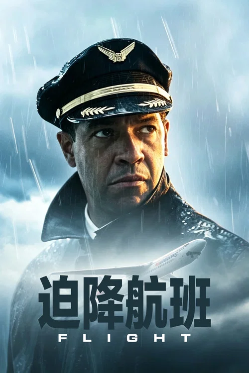 迫降航班海报
