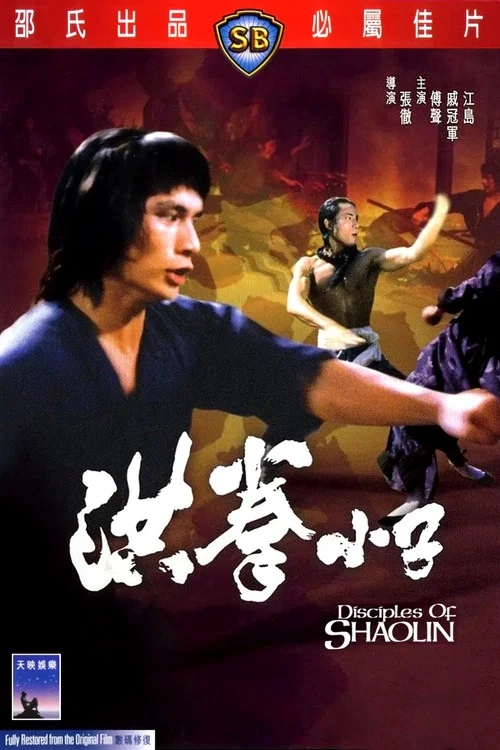洪拳小子海报