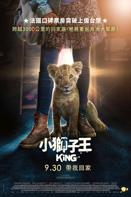 我的小狮王海报
