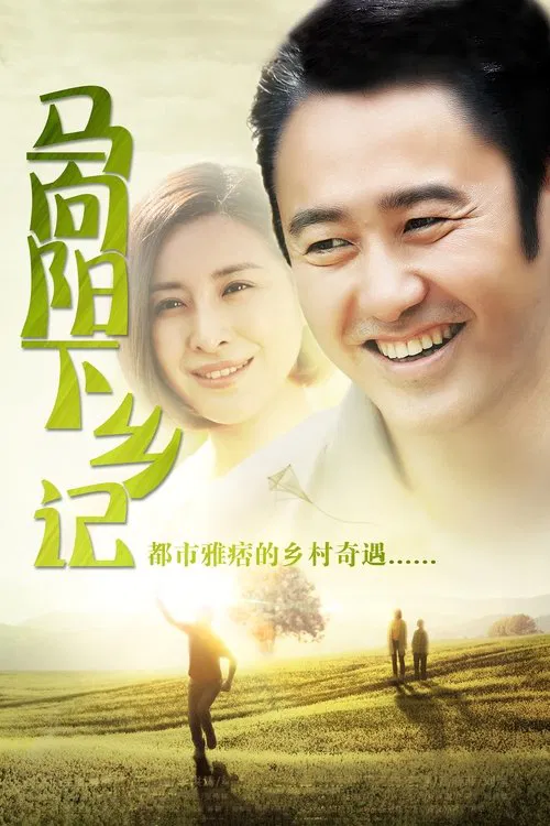 马向阳下乡记海报