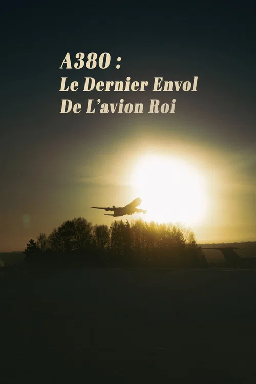 A380 : Le Dernier Envol de lavion roi海报