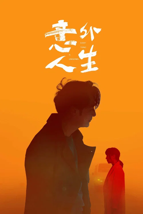 意外人生海报