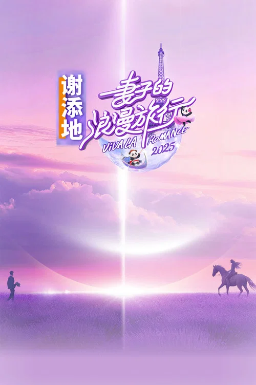 妻子的浪漫旅行海报