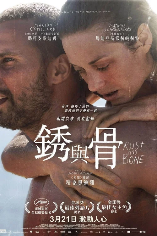 锈与骨海报