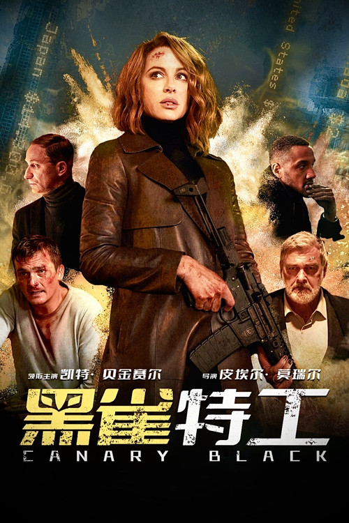 黑雀特工海报