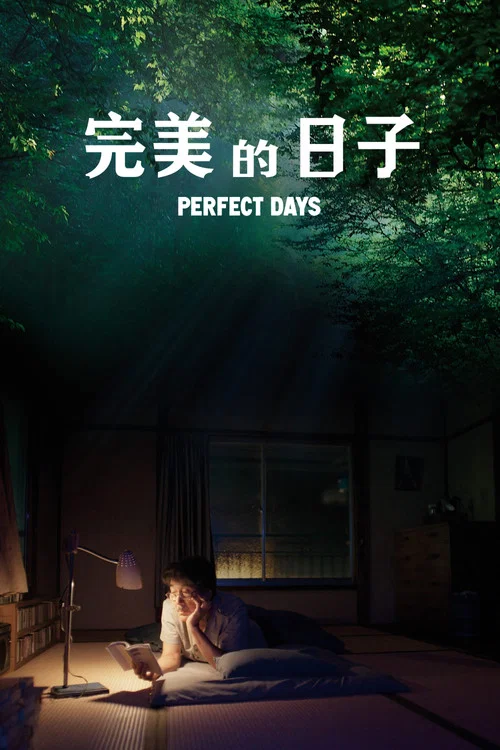 完美的日子海报